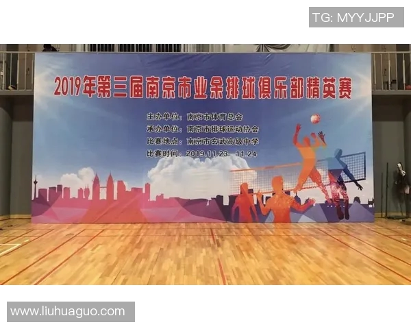 南京排球队的实力分析与发展潜力探讨